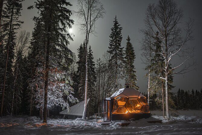 Dinner with Northern Light hunt in Rovaniemi - Authentic Insights from Travelers