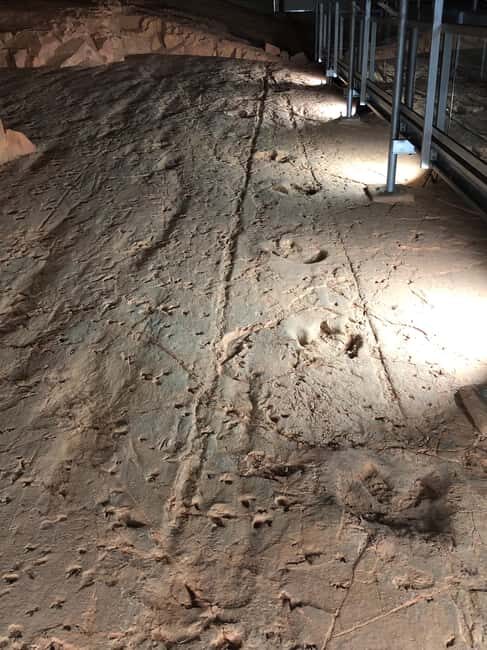 Dinosaur Stampede 3/4 Day Tour - What We Loved About This Tour