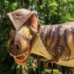 Dinosaur World Theme Park - FAQ