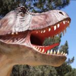 Dinosaurs Park - Family Half day tour - Frequently Asked Questions