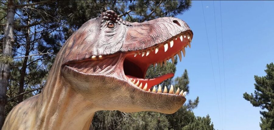 Dinosaurs Park - Family Half day tour - Frequently Asked Questions