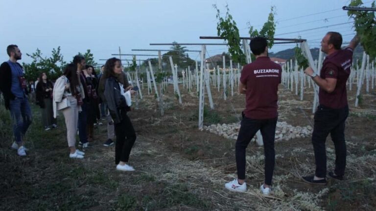 Discover Abruzzo and Castelferrato: Visit Vineyards and Wine Tasting - Is This Tour Right for You?
