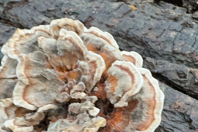 Discover Aurora Illinois Hiking Getaway - Final Thoughts