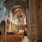 Discover Avignon combined with unique food & wine tasting - Final Thoughts: Who Should Book This Tour?