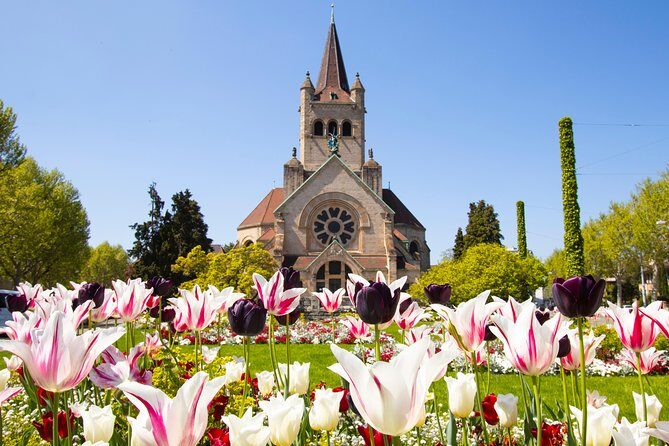 Discover Basels most Photogenic Spots with a Local - Final Thoughts on the Basel Photo Tour