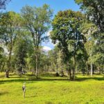 Discover Best Of Gauja National Park In One Day - Who Should Book This Tour?