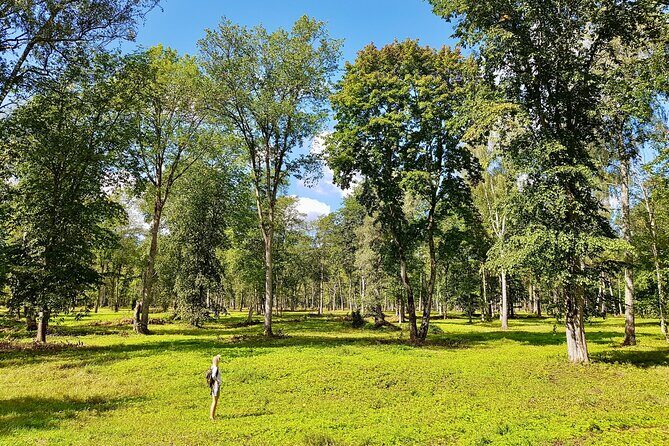 Discover Best Of Gauja National Park In One Day - Who Should Book This Tour?