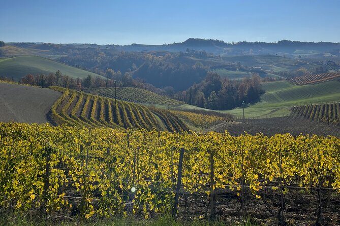Discover Brunello Wines with DiWine Experience - What’s Included and Practical Tips