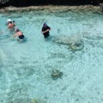 Discover Cascades & Turtle Experience with Yumi Tours - Who Is This Tour Best For?