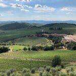 Discover Chianti Classico Wines DiWine Experience - A Detailed Look at the Chianti Classico Wines DiWine Experience
