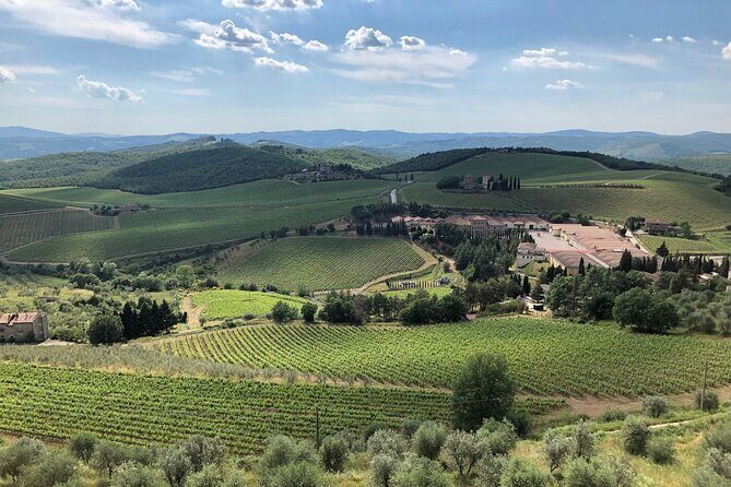 Discover Chianti Classico Wines DiWine Experience - A Detailed Look at the Chianti Classico Wines DiWine Experience