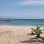 Discover Coral Coast & Natadola Beach Tour - Practical Details & Value