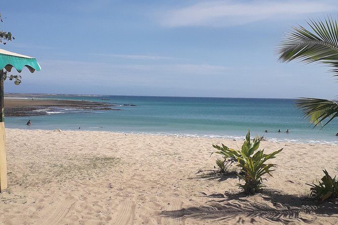 Discover Coral Coast & Natadola Beach Tour - Practical Details & Value