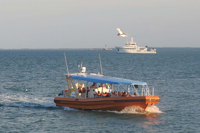Discover Darwin Harbour 1 hour Darwin Harbour Cruise - Why You Should Consider This Experience
