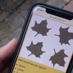 Discover Deventer with an Outside Escape city game tour! - Authenticity and Experience