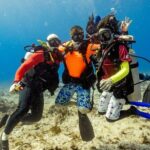 Discover Diving in the Reefs of Cozumel - Final Thoughts