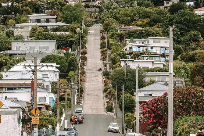 Discover Dunedin: Wildscene Private Shore Excursion - FAQ