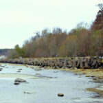 Discover Estonia-car tour from Tallinn to Keila-Joa Waterfal - Who Will Love This Tour?