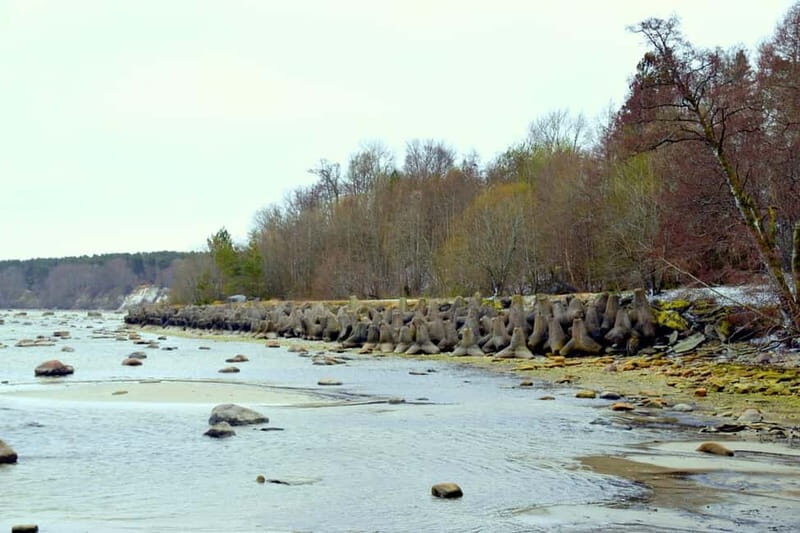 Discover Estonia-car tour from Tallinn to Keila-Joa Waterfal - Who Will Love This Tour?