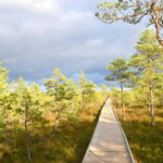 Discover Estoniatour to Lahemaa with waterfalls and nature. - FAQs