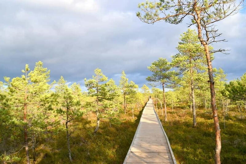 Discover Estoniatour to Lahemaa with waterfalls and nature. - FAQs
