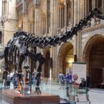 Discover Evolution at the Natural History Museum - Final Thoughts