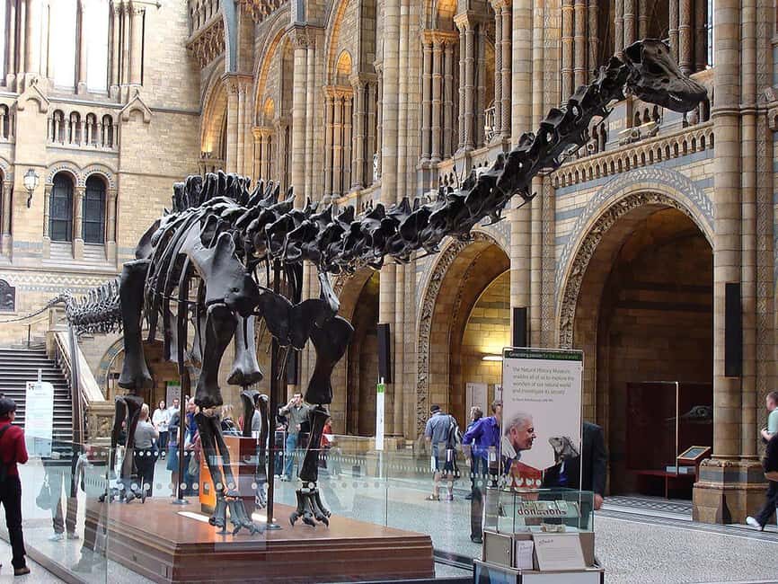 Discover Evolution at the Natural History Museum - Final Thoughts