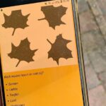 Discover Ghent with a self-guided Outside Escape city game tour! - Authenticity and Practicality