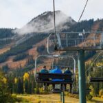 Discover Grizzly Bears from Banff - Who Should Book This Tour?