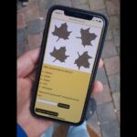 Discover Groningen in this Outside Escape city game tour! - Final Thoughts