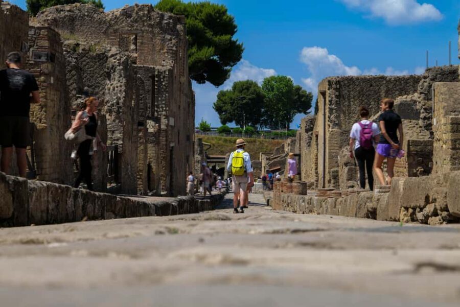 Discover Herculaneum: Guided tour in English of the ancient Roman city - Authentic insights from reviews