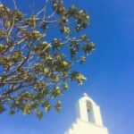 Discover Lefkes: Traditional Greek Village Paros VIP Experience - The Practicalities: What You Need to Know