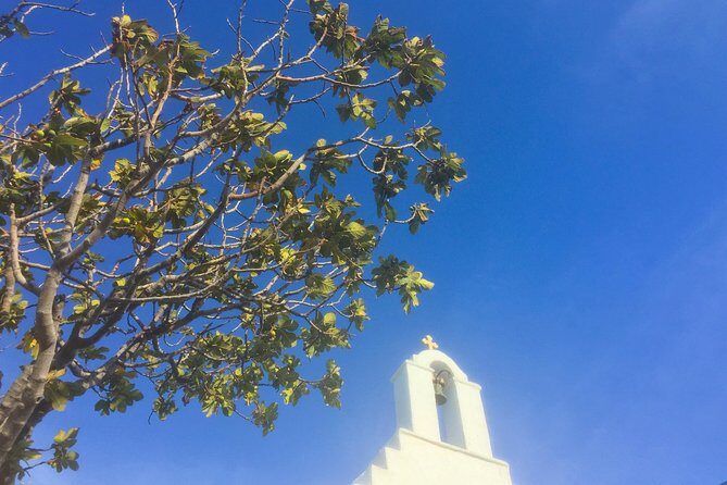 Discover Lefkes: Traditional Greek Village Paros VIP Experience - The Practicalities: What You Need to Know