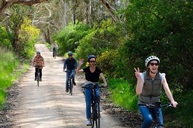 Discover McLaren Vale on eBikes - Full Day - Who Would Benefit Most?