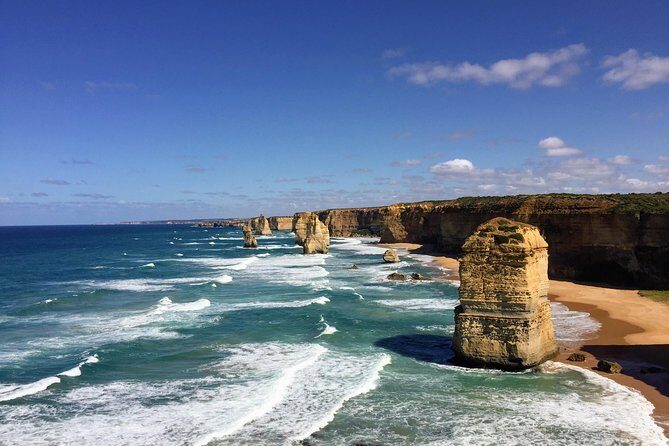Discover Melbourne City and Penguin Parade Eco Tour - Practical Considerations