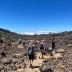 Discover Mount Teide and the Arenas Negras volcano on an intimate tour from the north. - Final Thoughts