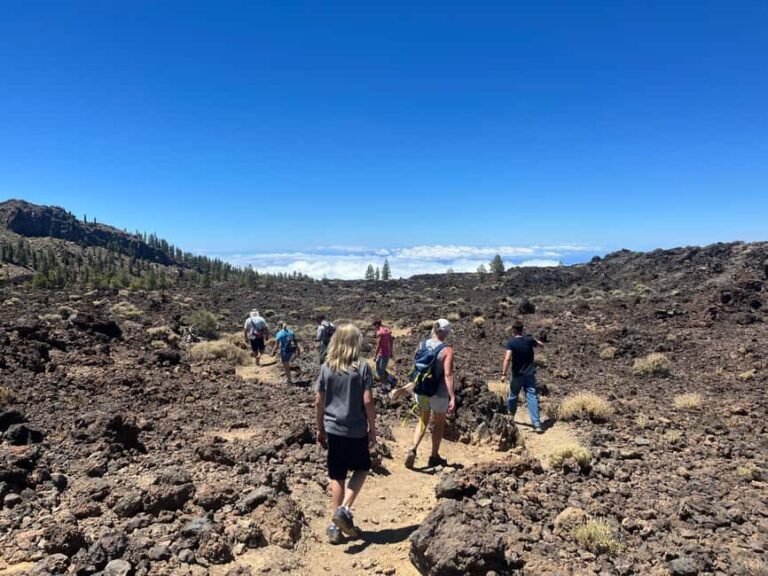 Discover Mount Teide and the Arenas Negras volcano on an intimate tour from the north. - Final Thoughts