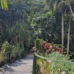 Discover Nadi Fiji Private Tour (All Fees Included) - Possible Drawbacks or Considerations