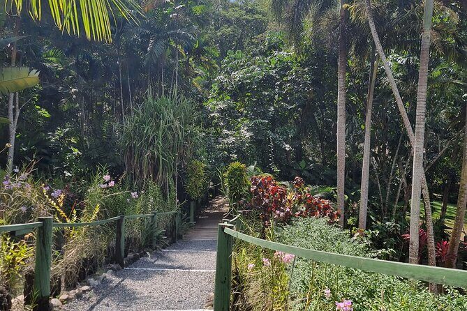 Discover Nadi Fiji Private Tour (All Fees Included) - Possible Drawbacks or Considerations