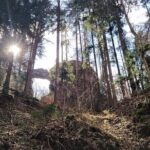 Discover Near Brno: Best Czech Caves & Karst Full-Day tour - Final Thoughts: Who Will Love This Tour?