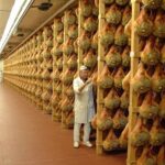 Discover Parmas Flavors: Parmigiano & Prosciutto Food Tour - Who Is This Tour Best For?