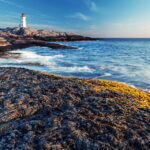 Discover Peggy's Cove: Private Journey from Halifax - Why Choose This Tour?