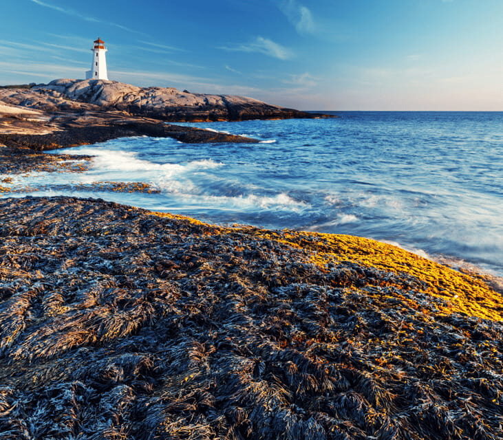 Discover Peggy's Cove: Private Journey from Halifax - Why Choose This Tour?
