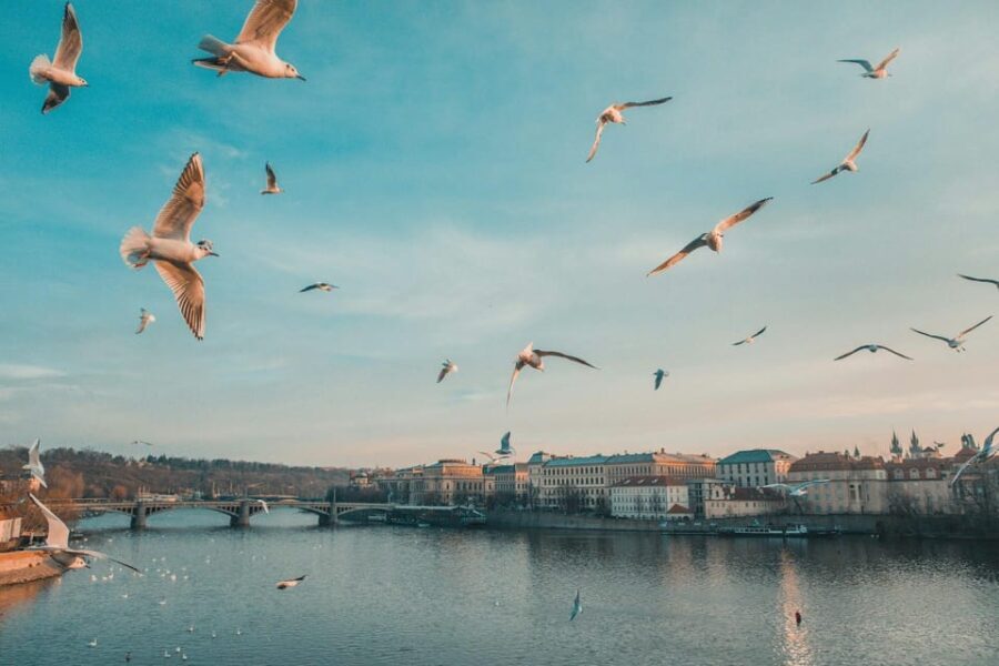 Discover Prague  4 Hours Tour Driving - Authentic, Practical Insights from Travelers