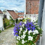 Discover Private+ Stavanger Guided City Tour - In-Depth Review of the Stavanger Guided City Tour