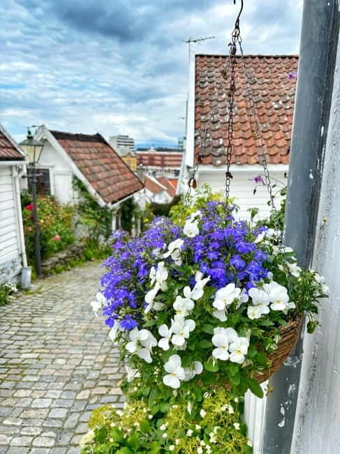 Discover Private+ Stavanger Guided City Tour - In-Depth Review of the Stavanger Guided City Tour
