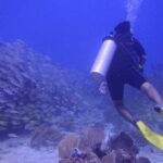Discover Scuba - The Value of This Experience