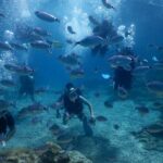 Discover Scuba Diving - Who Would Enjoy This Tour?