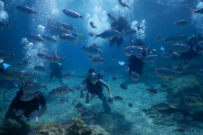 Discover Scuba Diving - Who Would Enjoy This Tour?