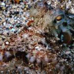 Discover Scuba Diving in Naxos, Greece - What Reviews Say About the Experience